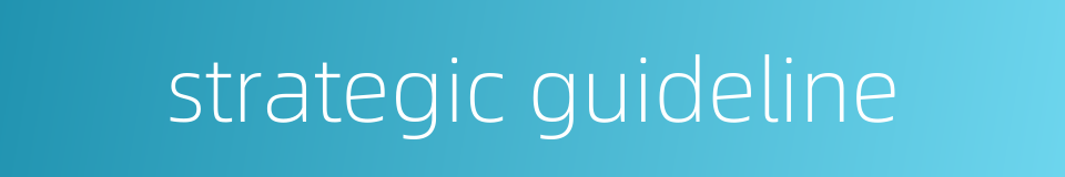 strategic guideline的同义词
