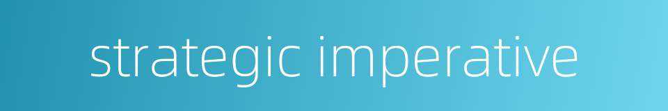 strategic imperative的同义词