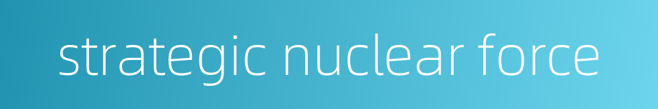 strategic nuclear force的同义词