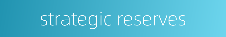 strategic reserves的同义词