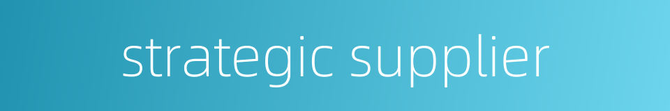 strategic supplier的同义词