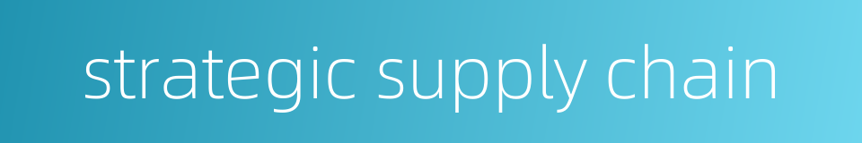 strategic supply chain的同义词