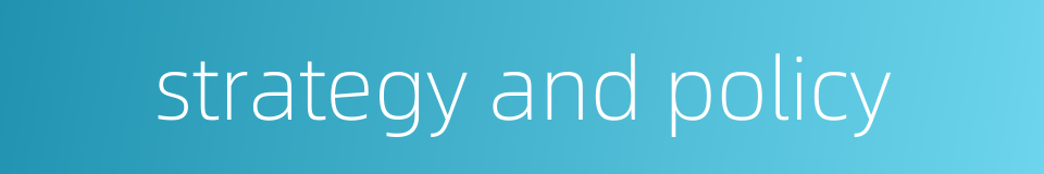 strategy and policy的同义词