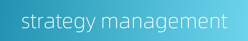 strategy management的同义词
