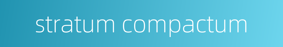 stratum compactum的同义词