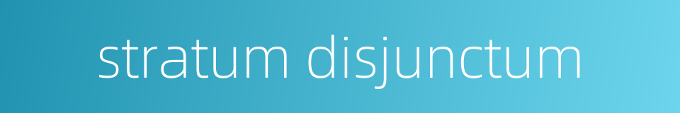 stratum disjunctum的同义词