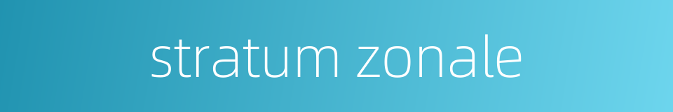 stratum zonale的同义词
