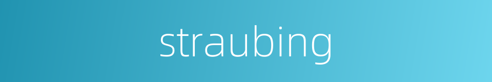 straubing的同义词