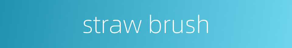 straw brush的同义词