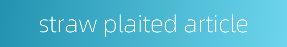 straw plaited article的同义词