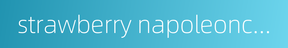 strawberry napoleoncake的同义词