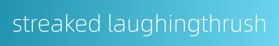 streaked laughingthrush的同义词