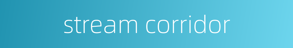 stream corridor的同义词