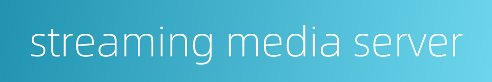 streaming media server的同义词