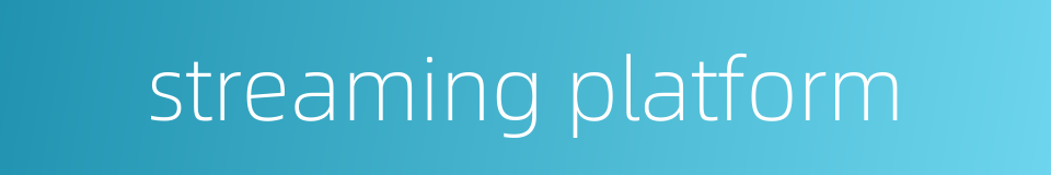 streaming platform的同义词