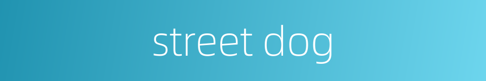 street dog的同义词