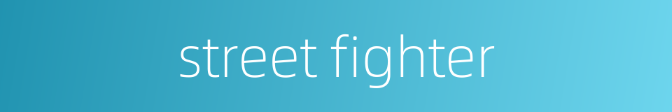street fighter的同义词