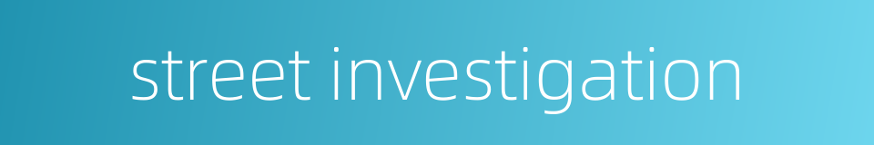 street investigation的同义词