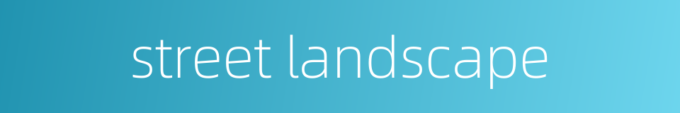 street landscape的同义词