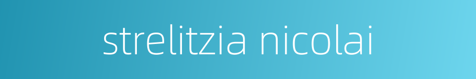 strelitzia nicolai的同义词