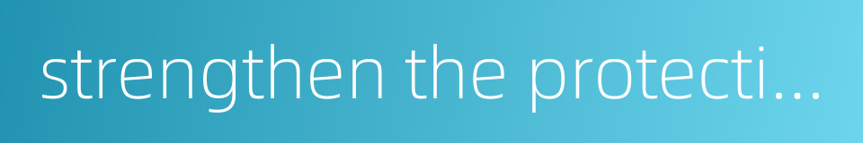 strengthen the protection of intellectual property rights的同义词