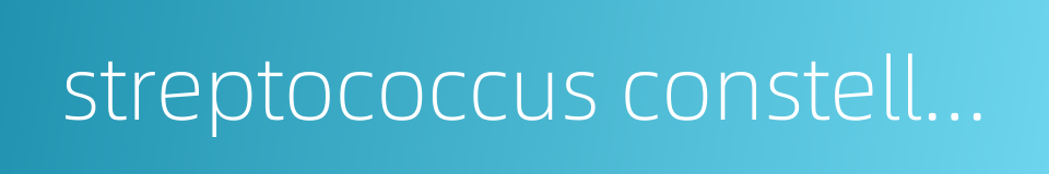 streptococcus constellatus的同义词