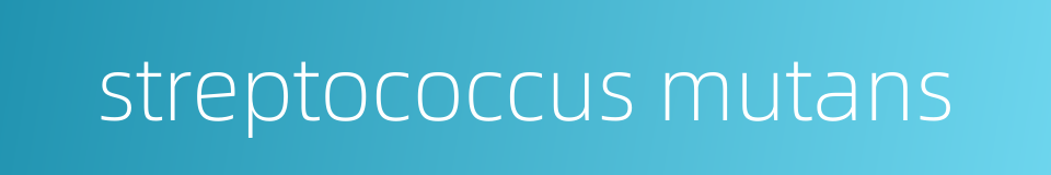 streptococcus mutans的同义词