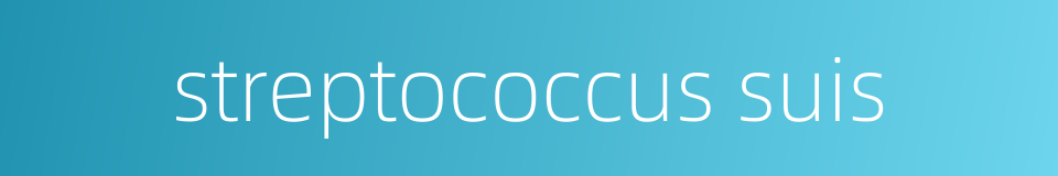 streptococcus suis的同义词