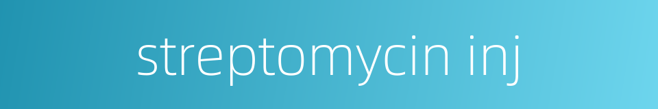 streptomycin inj的同义词