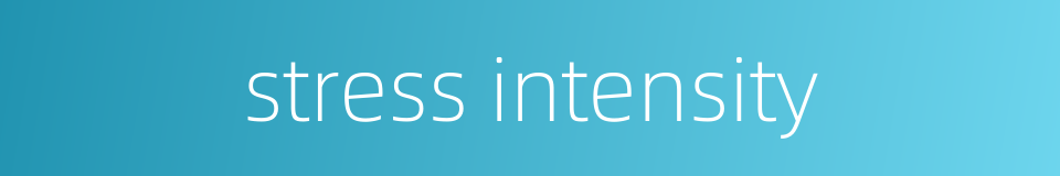 stress intensity的同义词