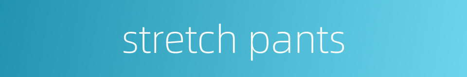 stretch pants的同义词
