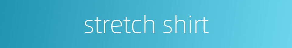 stretch shirt的同义词