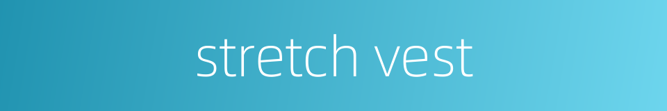 stretch vest的同义词