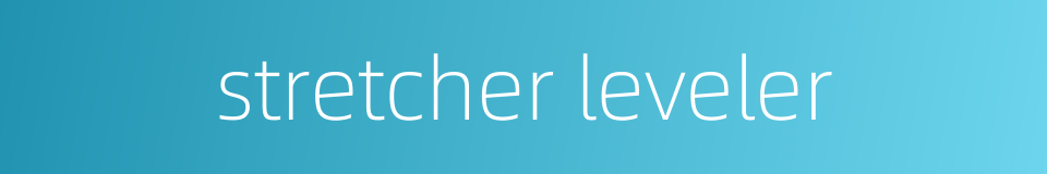 stretcher leveler的同义词