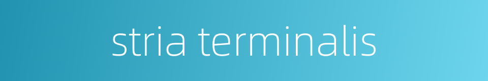 stria terminalis的同义词