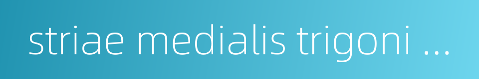 striae medialis trigoni olfactorii的同义词