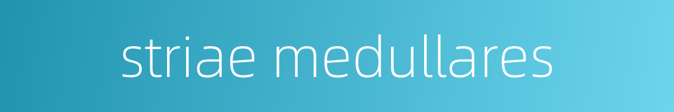 striae medullares的同义词