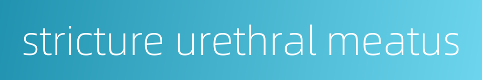 stricture urethral meatus的同义词