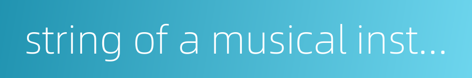 string of a musical instrument的同义词