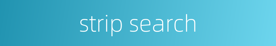 strip search的同义词