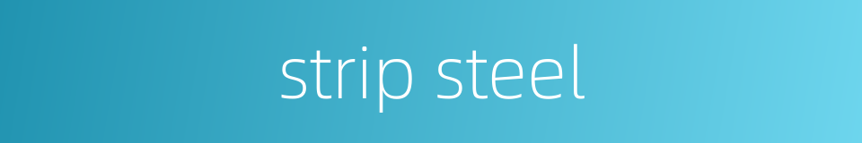 strip steel的同义词