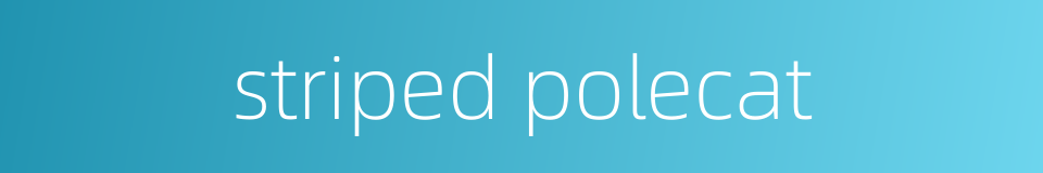striped polecat的同义词