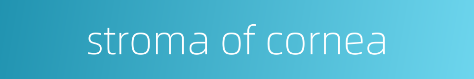 stroma of cornea的同义词