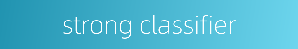 strong classifier的同义词