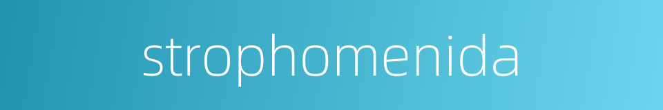 strophomenida的同义词