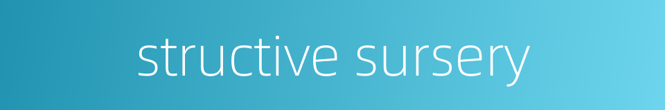 structive sursery的同义词