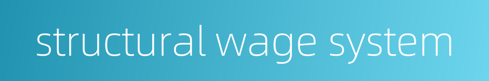 structural wage system的同义词