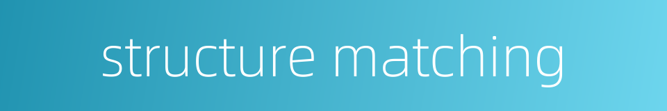 structure matching的同义词