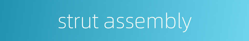 strut assembly的同义词