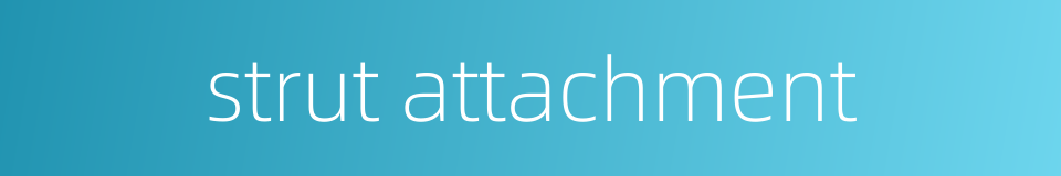 strut attachment的同义词